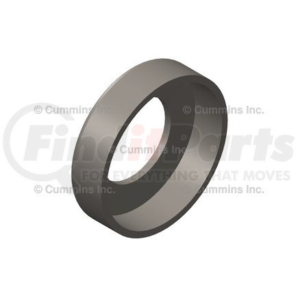 Cummins 179063 Retainer Plug