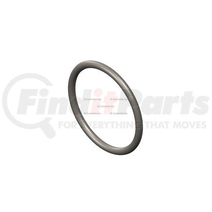 Cummins 3081695 Seal Ring / Washer