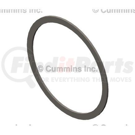 Cummins 3892317 Multi-Purpose Shim