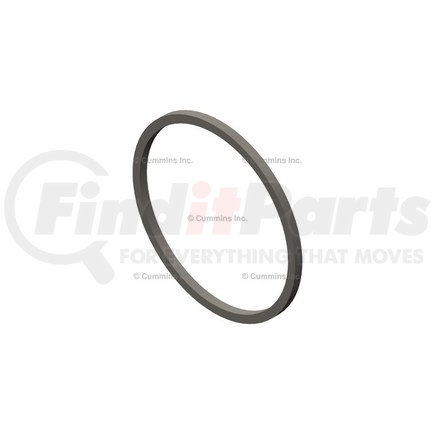 Cummins 3871638 Seal Ring / Washer