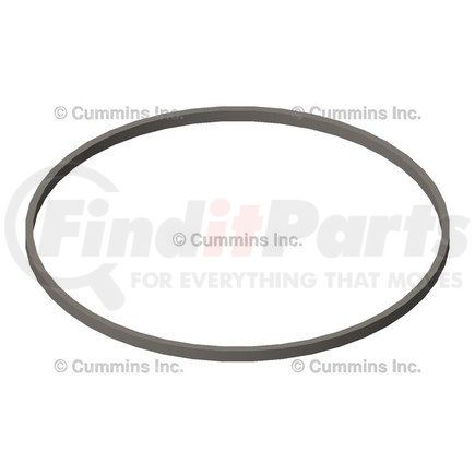 Cummins 3070547 Liner Seal Ring