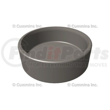 Cummins 3164738 Cap