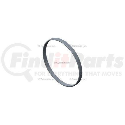 Cummins 3689871 Anti-Polishing Ring