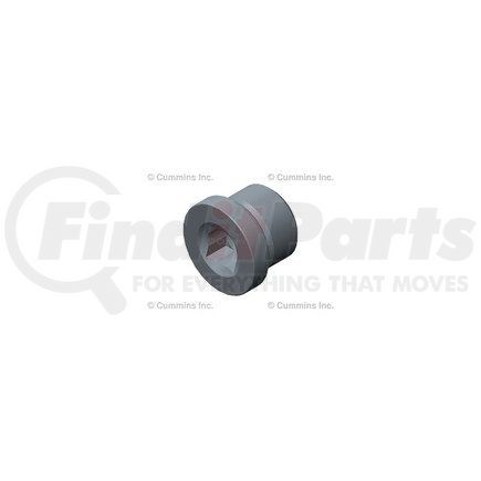 Cummins 4331268 Threaded Plug