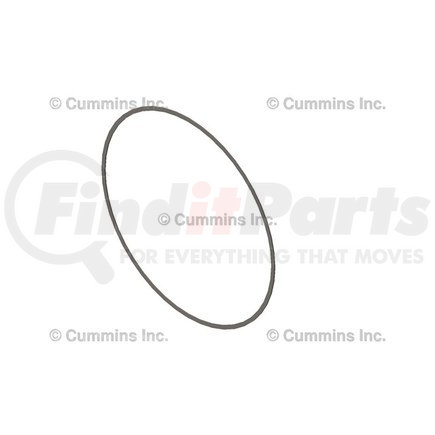 Cummins 5298565 Multi-Purpose Shim