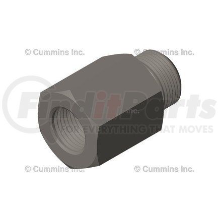 Cummins 4096164 Banjo Bolt and Fitting