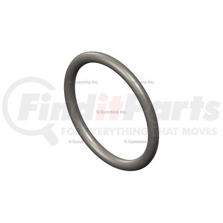 Cummins 3089392 Seal Ring / Washer