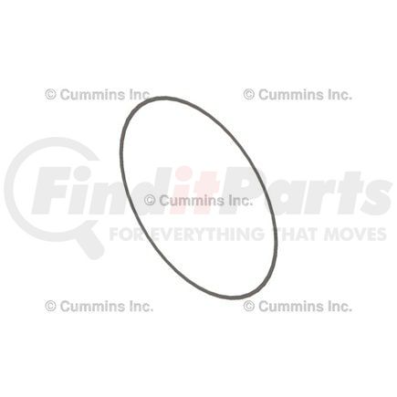 Cummins 5298564 Multi-Purpose Shim