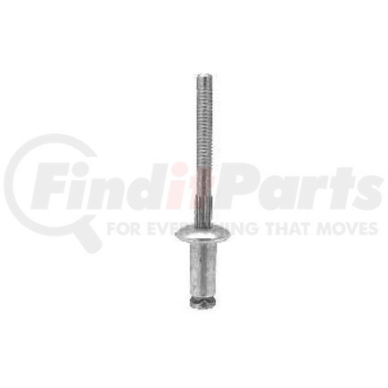Auveco 12655 SPECIAL PEEL-TYPE RIVET (GM) 1