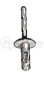 Auveco 13751 Nylon Blind Rivet Black 1/4”
