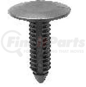 Auveco 15543 Splash Shield & Wheel Well Cover Retainer