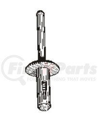 Auveco 14023 Nylon Blind Rivet 15/54”