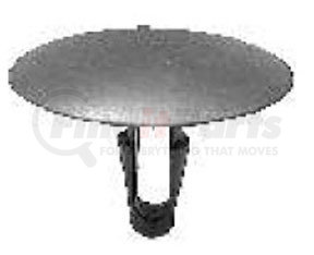 Auveco 14738 Retaining Clip Toyota 30mm
