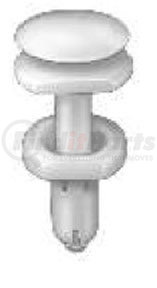Auveco 18353 GM Push-Type Retainer