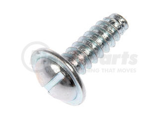 Dorman 02405 License Plate Fasteners-1/4 In. (No. 14) x 3/4 In.