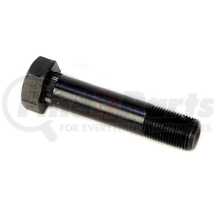 Redneck Trailer 126A1LN 3/4" Wet Equalizer Bolt with O Zerk-Nut