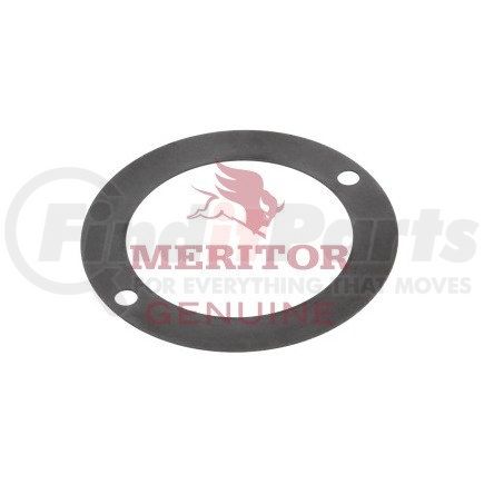 AxleTech 2203N9504 Multi-Purpose Shim - .031