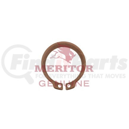 AxleTech 1229D2942 RETAINER,FIN.