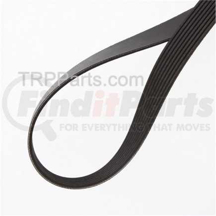 TRP 570K8BLT BELT-POLY 8 RIBS X 57