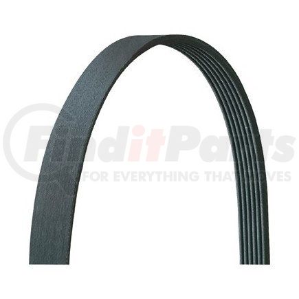 Dayco 4PVK1345 POLY RIB, DAYCO IMPORT