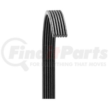 Dayco 6060730 POLY RIB BELT, DAYCO