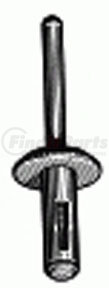 Auveco 15490 GM NYLON RIVET