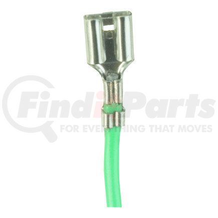 WAI DST946 Distributor
