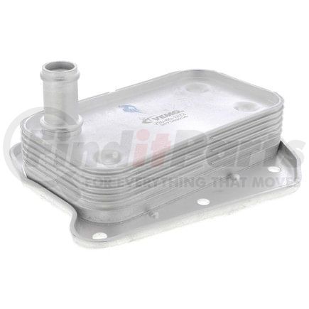 Vemo V30601273 Radiador de aceite, aceite motor