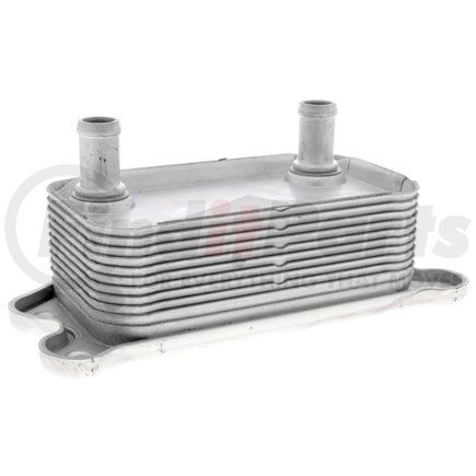 Vemo V95600012 Oil Cooler, engine oil