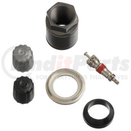 Schrader Valves 20017 Tire Pressure Monitoring System (TPMS) Sensor Service Kit - Clamp-In