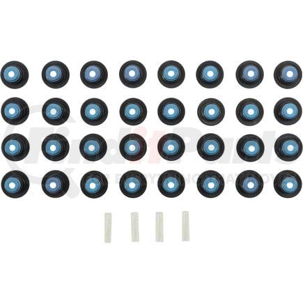 Victor Reinz Gaskets 121005501 Engine Valve Stem Oil Seal Set