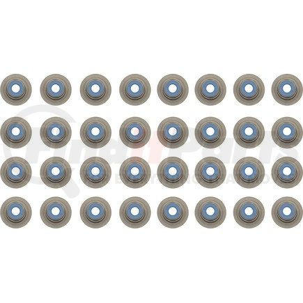 Victor Reinz Gaskets 12-10065-01 Engine Valve Stem Oil Seal Set