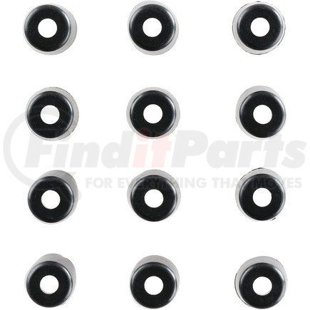 Victor Reinz Gaskets 121007301 Engine Valve Stem Oil Seal Set