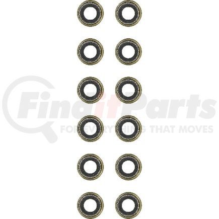 Victor Reinz Gaskets 122129101 Engine Valve Stem Oil Seal Set