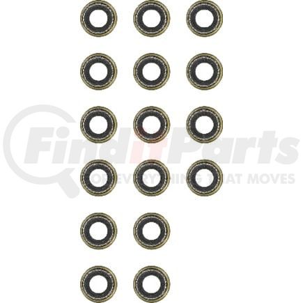 Victor Reinz Gaskets 122582401 Engine Valve Stem Oil Seal Set