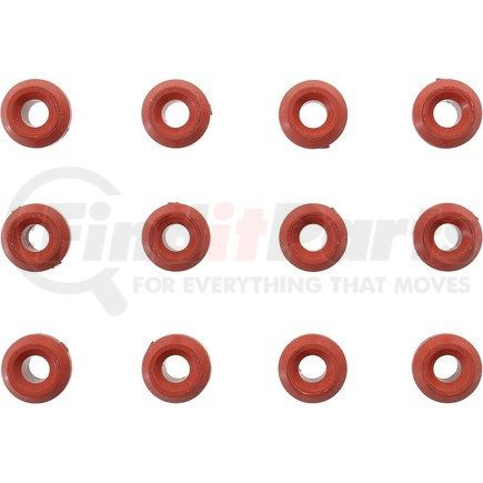 Victor Reinz Gaskets 15-10123-01 Engine Valve Cover Grommet Set