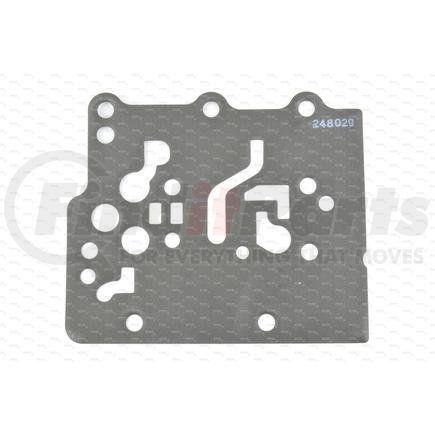 Dana 248029 DANA SPICER Gasket