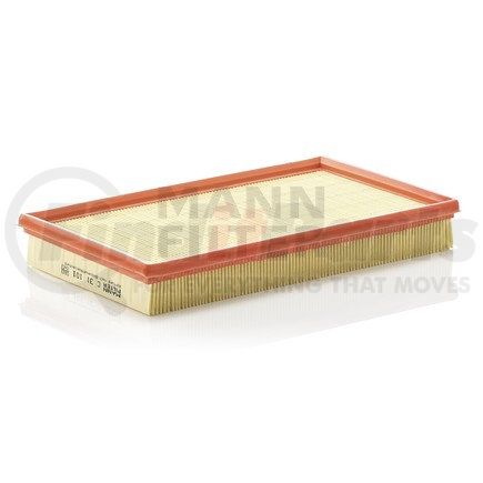 MANN+HUMMEL Filters C31101 MANN-FILTER BASE Air Filter Panel