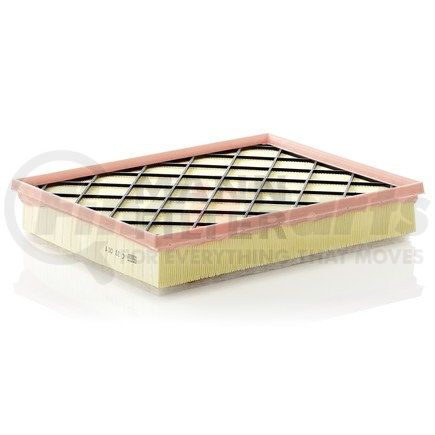 MANN+HUMMEL Filters C33001 MANN-FILTER BASE Air Filter Panel