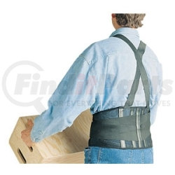 SAS Safety Corp 7163 Back Support, Large
