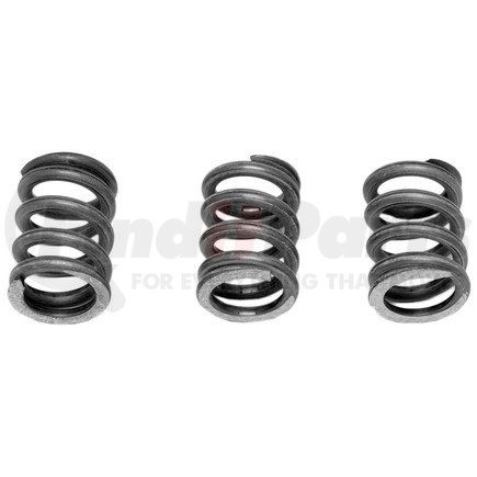 Exhaust Spring