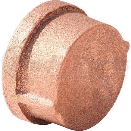 Merit Brass XNL116-08 1/2 In. Lead Free Brass Cap - FNPT - 125 PSI - Import