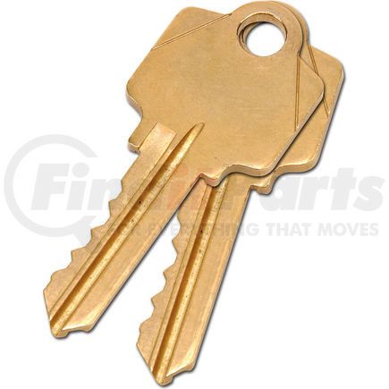 Global Industrial 603131 Global Industrial™ 2 Keys For Mortise Lock (Keyed Alike)