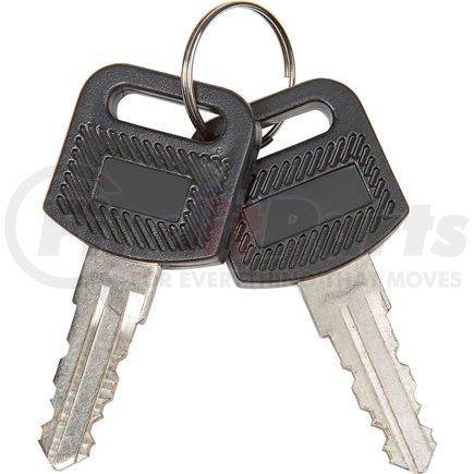 Global Industrial RP9017 Global Industrial&#153; 2Pcs Replacement Keys for Charging Cabinets/Carts 985748, 251761, 987877