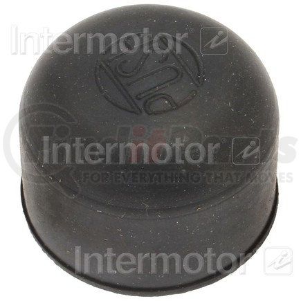 Standard Ignition DS521 Switch Boot