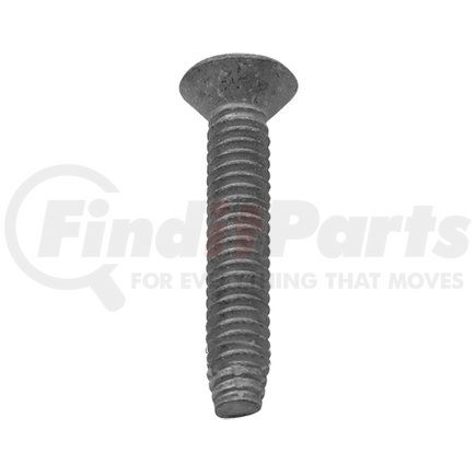 REDNECK TRAILER TFX150ACQ - screw for treated wood 1/4" x 1-1/2" self tap