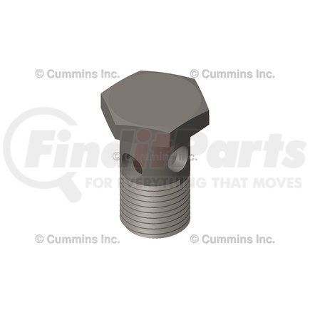 Cummins 2884688 Banjo Bolt and Fitting