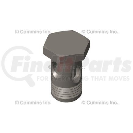 Cummins 2897318 Banjo Bolt and Fitting