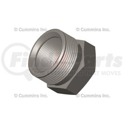 Cummins 3002619 Nut - Tube