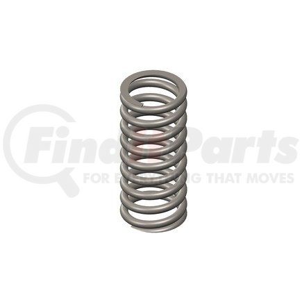 Fuel Injection Pump Spring